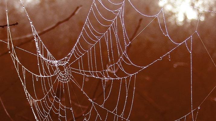 Web van links